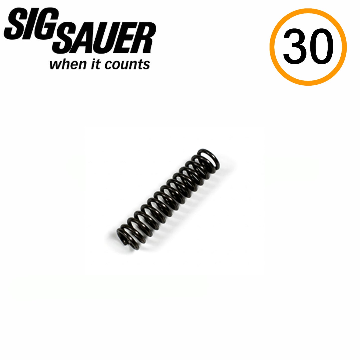 SIG Sauer P322 Manual Safety Detent Spring