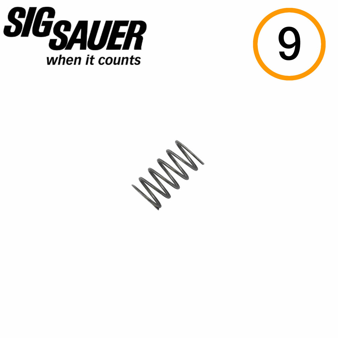 SAFETY LOCK SPRING, P SERIES – Sig Guy