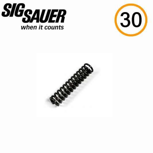 SIG Sauer P322 Manual Safety Detent Spring