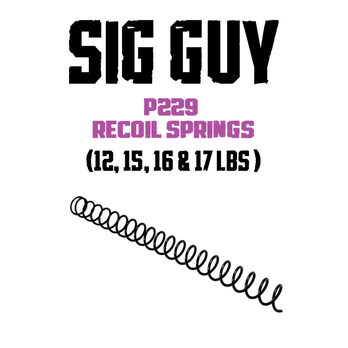Sig Guy SIG Sauer P229 Single Round Wire Recoil Springs