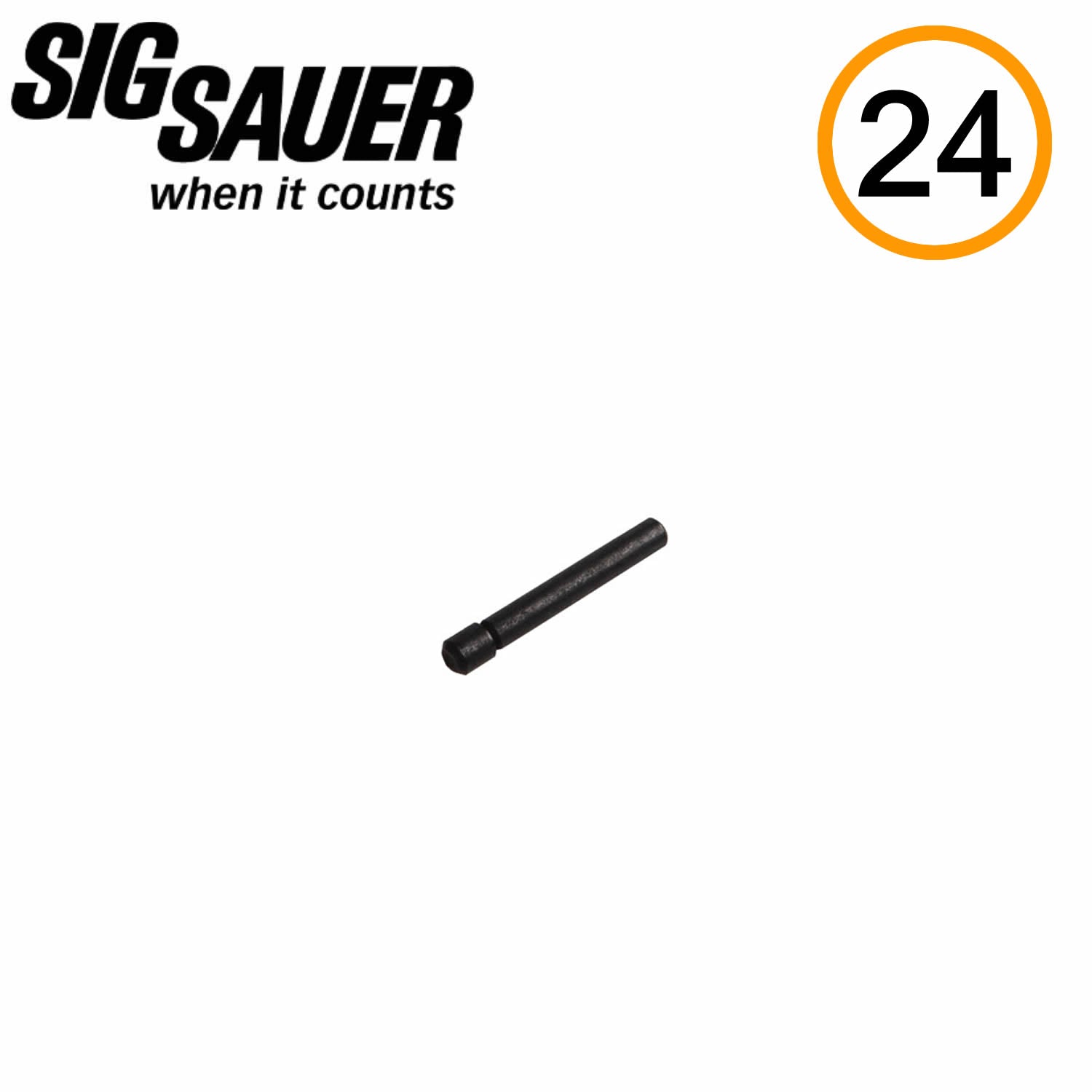 SIG Sauer PIN, TRIGGER STOP, 320 – Sig Guy